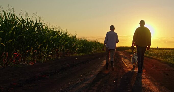 A young couple silhouettes walk down a country road through open fields at twilight, with their Golden Retriever running beside them, capturing a romantic and peaceful scene.