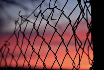 fence against the sunset