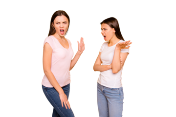 Portrait of nice-looking cute charming attractive irritated annoyed mad straight-haired ladies grimace having fight scandal isolated over bright vivid shine background