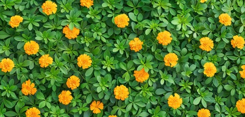 Obraz premium Green Leaves and Yellow Flowers Background.