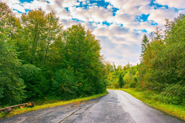 Empty asphalt mountain road through the deciduous forest with cloudy sky in morning light. wet rainy weather