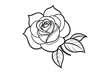 Rose Flower outline Line Art Illustration Background