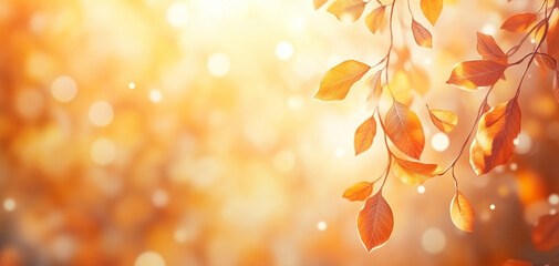 Fototapeta premium autumn leaves background