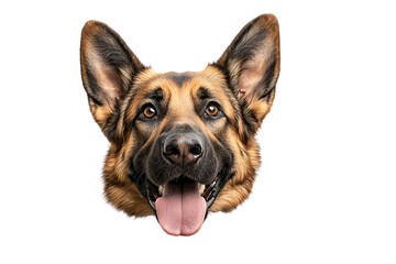 A close-up portrait of a happy German Shepherd dog with expressive eyes and a joyful demeanor, showcasing its friendly nature.