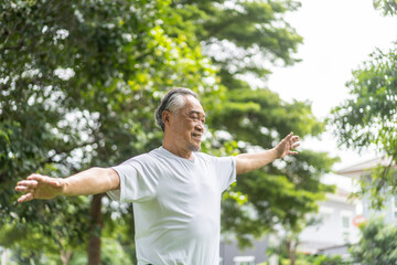 Elderly man exercising outdoors in green park, smiling and enjoying workout, demonstrating a positive and healthy lifestyle in his senior years, fitness, wellness and outdoor activities older adults.