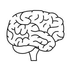 brain human line icon vector. brain human sign. isolated contour symbol black illustration