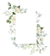 Watercolor floral border - white flowers and green eucalyptus leaves illustration isolated on transparent background. Creamy roses frame, wedding florals