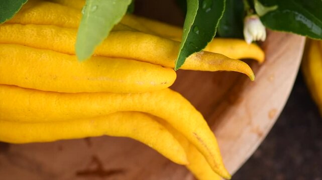 Buddha hand citrus fruit. Yellow Organic fingered citron, Buddha's Hand Citrus Fruit with Fingers, flowers and leaves of plant. Aromatherapy concept. Slow motion. Top view