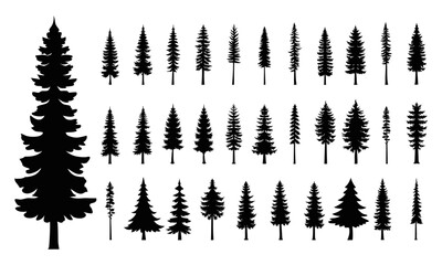 Set of pine trees silhouette