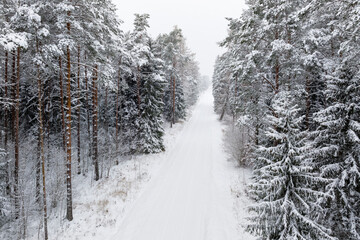 Дорога в лесу зимой. Вид сверху.