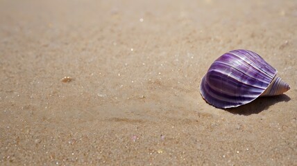 Unique purple seashells by the sea, sea shells view on sands of beach, seaside shores