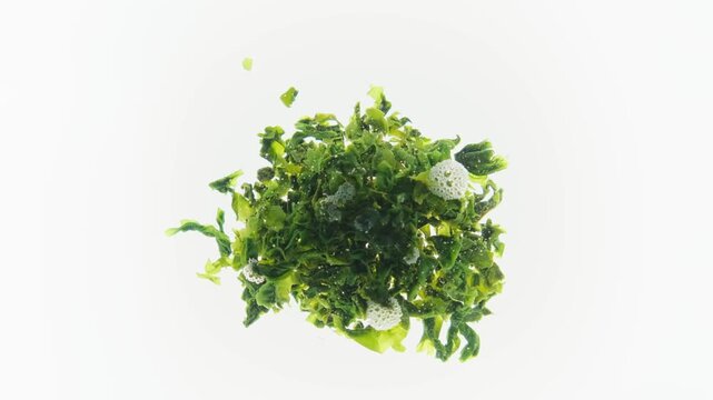 Wakame seaweed hydrating in water, white background and backlighting for japanese cuisine. Close-up.  Showing its transparency and green tones. F-Log2, 24P, MOVH.265 All-I 4:2:2 10bit 360Mbps.