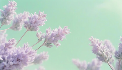 How about: Close-up of vibrant lavender flowers in bloom with delicate purple petals and a touch of nature's beauty?