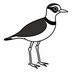 Fototapeta premium Killdeer Vector Illustration – Cute Cartoon Animal Logo, Funny Clipart for Graphic Design