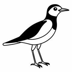 Killdeer Vector Illustration – Cute Cartoon Animal Logo, Funny Clipart for Graphic Design