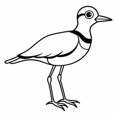 Killdeer Vector Illustration – Cute Cartoon Animal Logo, Funny Clipart for Graphic Design