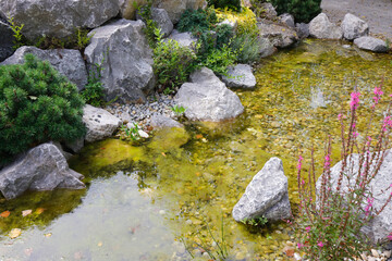 Kleiner Gartenteich mit vielen Zier-Steinen 