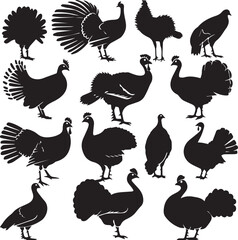 Naklejka premium Turkey Black and White vector Design