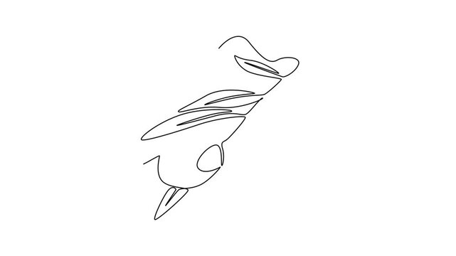 Animated self drawing of continuous line draw of heap healthy organic olive fruit for farming or gardening logo identity. Fresh core ingredients concept for fruit icon. Full length one line animation