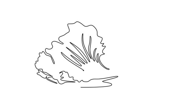 Animated self drawing of continuous line draw whole healthy organic mustard green leaves for cooking logo identity. Fresh brassica juncea concept for vegetable icon. Full length single line animation