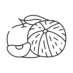 bunch tangerine line icon vector. bunch tangerine sign. isolated contour symbol black illustration