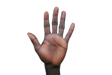 Hand with five fingers raised against a plain background emphasizing gestures and human anatomy. Close up of afro-american`s hand isolated on transparent background.