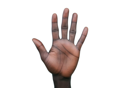 Five Fingers Images Browse 139 245 Stock Photos Vectors and Video Adobe Stock