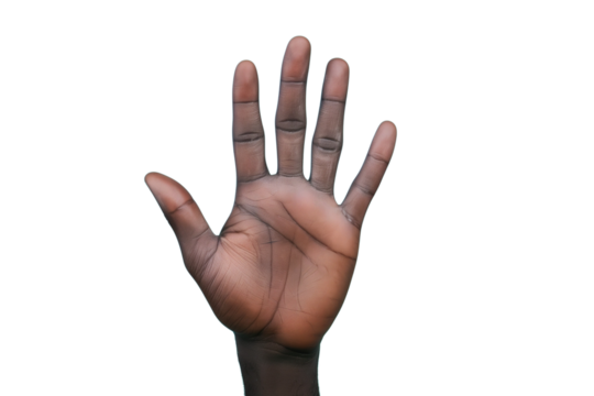 Hand with five fingers raised against a plain background emphasizing gestures and human anatomy. Close up of afro-american`s hand isolated on transparent background.