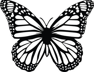 Butterfly Silhouette – black monarch butterfly 