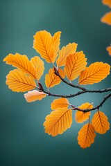 Naklejka premium Golden Autumn Leaves with Sunlight Filtering Through, Creating a Warm and Inviting Seasonal Background with Soft Bokeh Effects