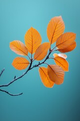 Obraz premium Golden Autumn Leaves with Sunlight Filtering Through, Creating a Warm and Inviting Seasonal Background with Soft Bokeh Effects