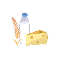 Happy Shavuot with cheese, wheat ears and bottle of milk, vector flat symbolic foods of Shavuot Jewish holiday isolated