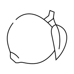 green tangerine leaf line icon vector. green tangerine leaf sign. isolated contour symbol black illustration