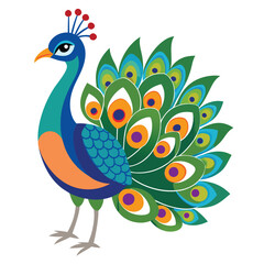 Fototapeta premium peacock with feather