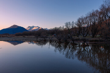 Line of trees with reflection on the lake.
