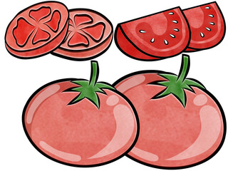 Fresh Tomato. Creative illustration in flat design.