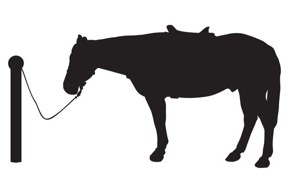 At the Hitching Post in Silhouette