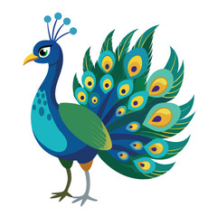 peacock with feathers