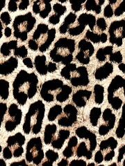Animal print, tigre patron  © dan