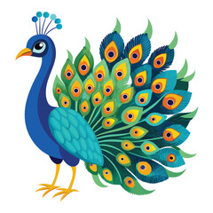 illustration of a peacock with feathers