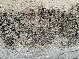 Background image of an old painted wall with peeling paint.
