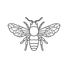 honey bee black and white vector illustration for honey products, packaging, design.