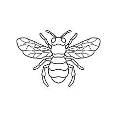 honey bee black and white vector illustration for honey products, packaging, design.