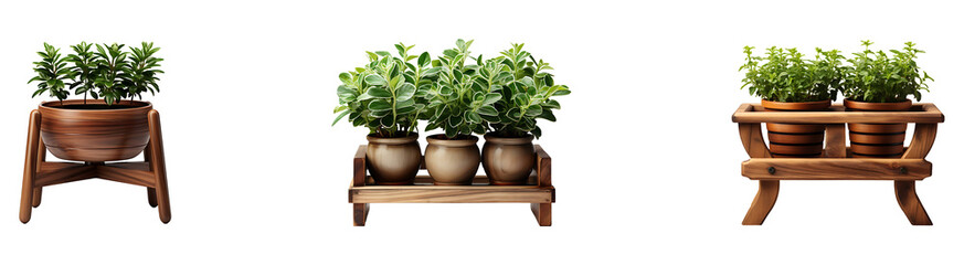 Obraz premium Set, collection of Wooden Planter Stand isolated on transparent background.