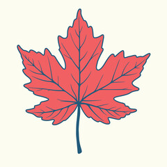 maple leaf in color
