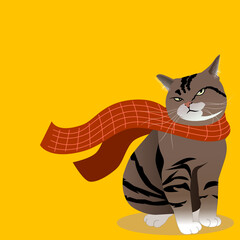 brown tabby cat portrait looking serious or angry on yellow background with copy space