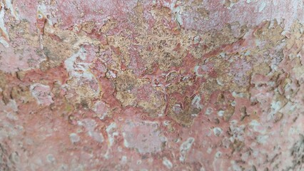 texture of the stone