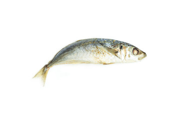 Obraz premium Mackerel fish isolated on white background, Seafood, Steamed fish