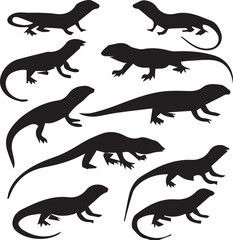 Komodo   Outline Silhouette Graphics Collection