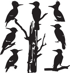 Naklejka premium Wood Tree Bird Dark Silhouette Shapes Vector Set